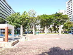 Blk 828A Jurong West Street 81 (Jurong West), HDB Executive #150503112